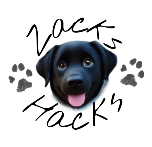 Zacks Hacks Dog Walking